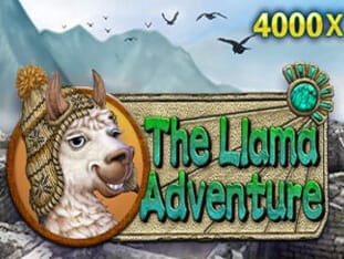 The Llama Adventure